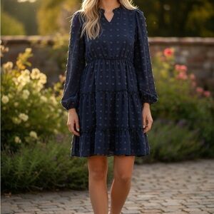 Chic Long Sleeve Navy Blue Swiss Dot Chiffon Babydoll Mini Dress